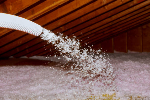 Best Insulation Installation Services in Clear Lake Shores, TX