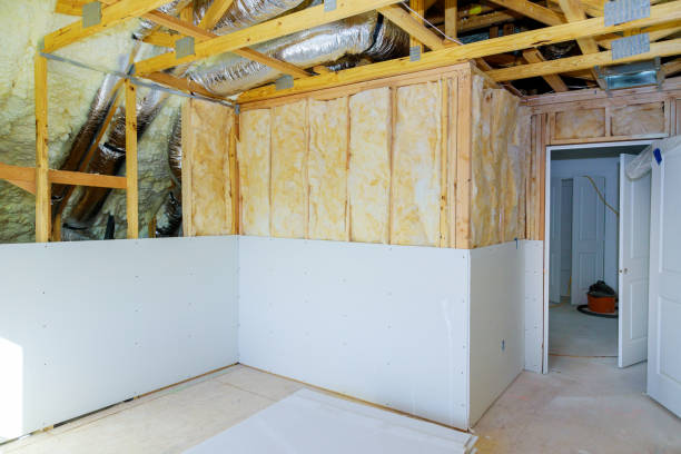 Best Insulation Maintenance and Repair in Clear Lake Shores, TX